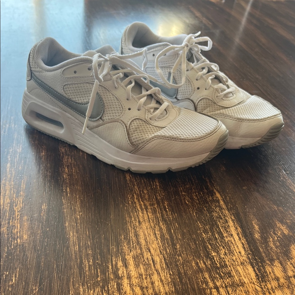 Nike Light Gray Mesh & Leather Running Sneakers